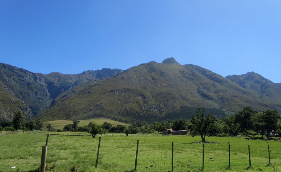 5 Bedroom Property for Sale in Swellendam Rural Western Cape